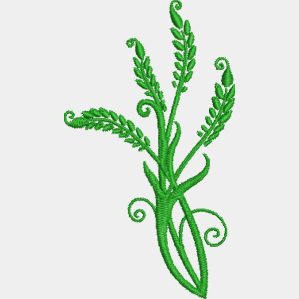 Hops_EMB1626 Thumbnail