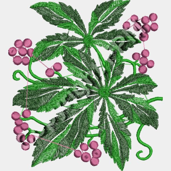 Grape_EMB1660 Thumbnail