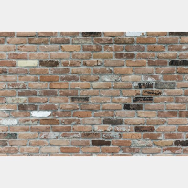 brick wall Thumbnail