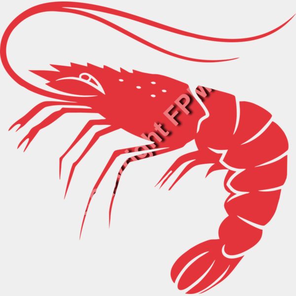 929 Shrimp Thumbnail