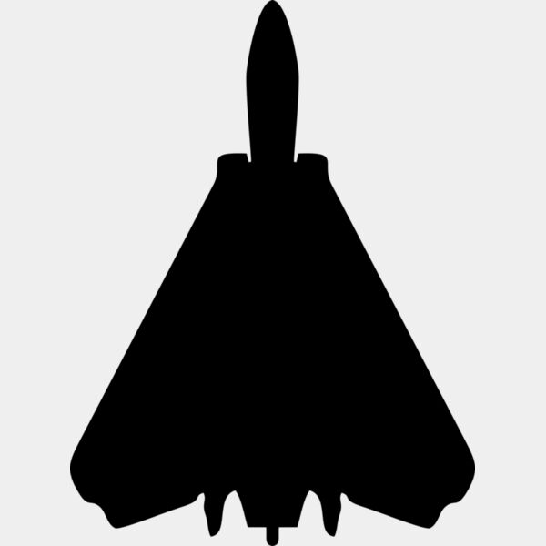 1033 F14 AD Jet Thumbnail