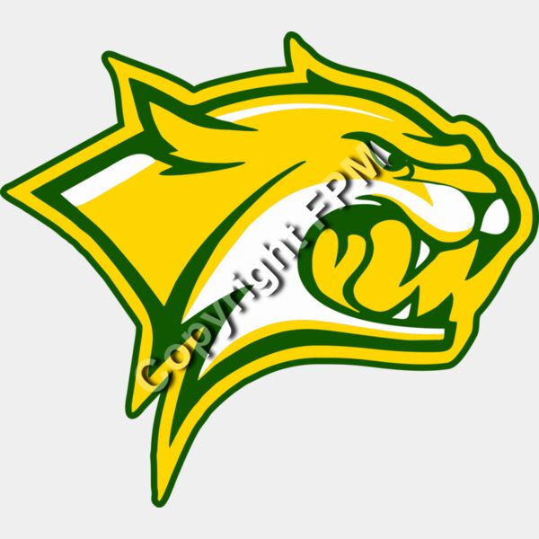 964 Wildcat Thumbnail