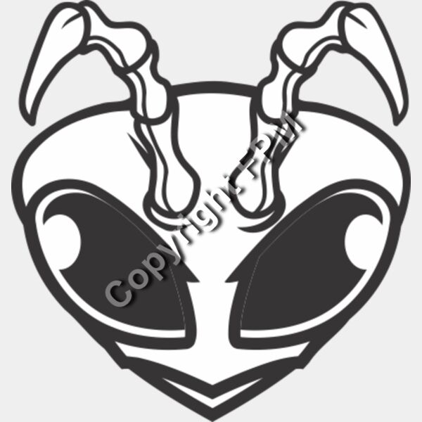 139 Bee Head Thumbnail