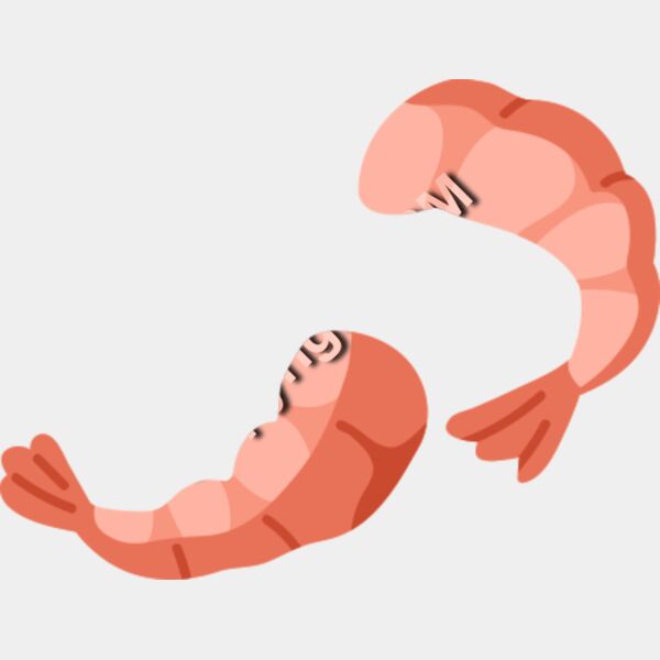 139 Shrimp Thumbnail