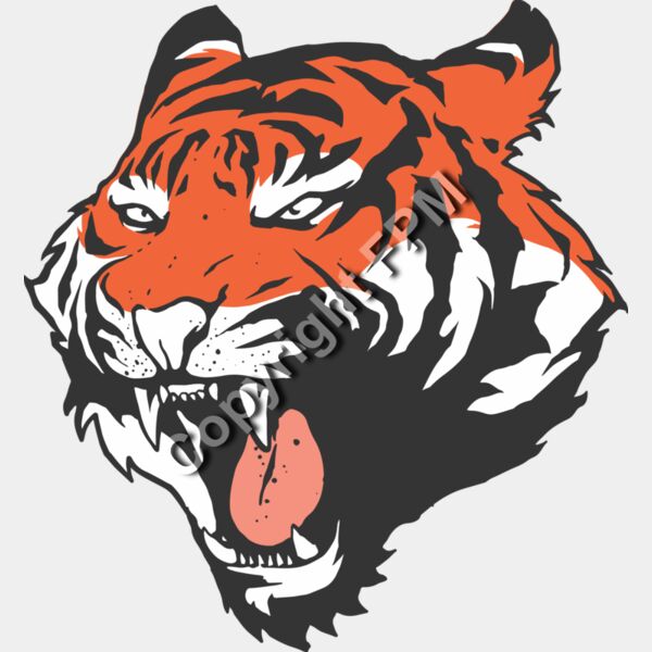 8094 Tiger Thumbnail