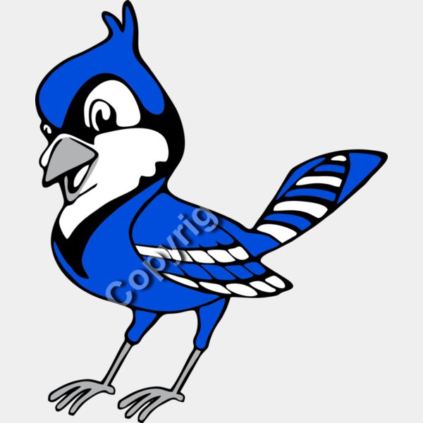 1029 Jay Birds Thumbnail