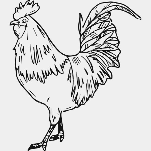A1204 Chicken Thumbnail