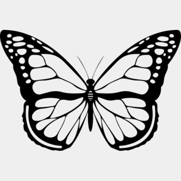 A1088 Butterfly Thumbnail