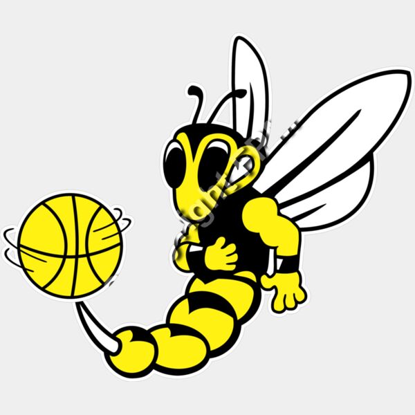 1230 Hornet Basketball Thumbnail