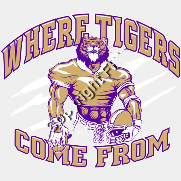 1259 Where Tigers Come From Thumbnail