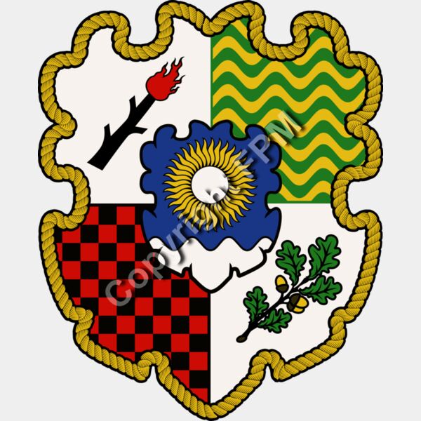1356 Family Crest Shield Thumbnail