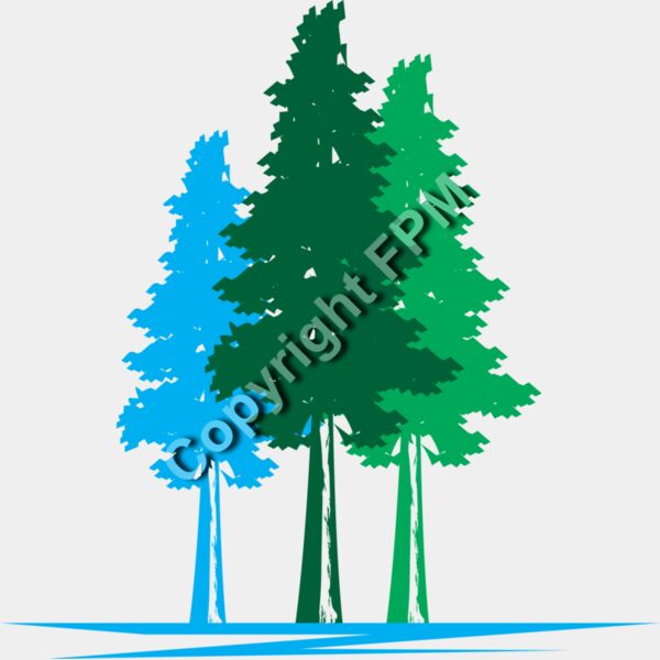 B1020 Redwood Trees Thumbnail