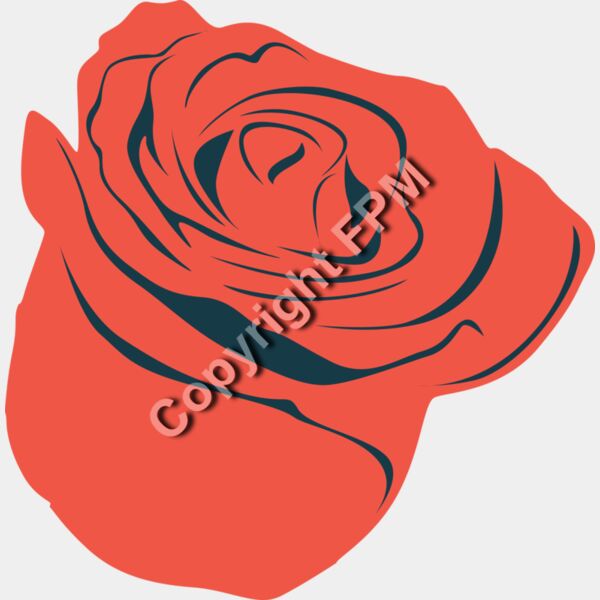 B1028 Rose Thumbnail