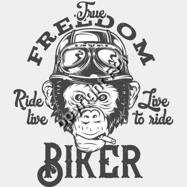 B6169 Biker Monkey Thumbnail