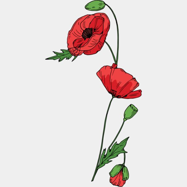 B6178 Poppies Thumbnail