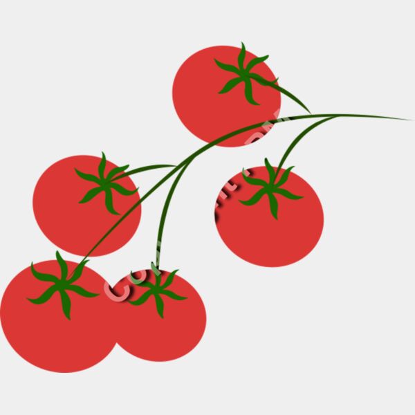 B4369 Tomatos Thumbnail