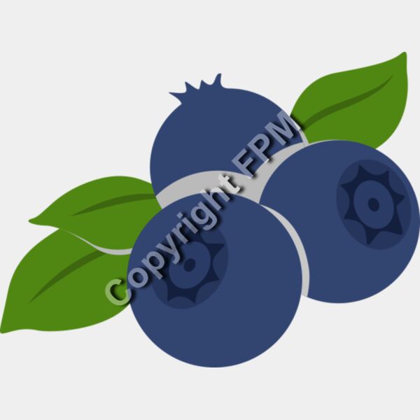 B4373 Blueberries Thumbnail