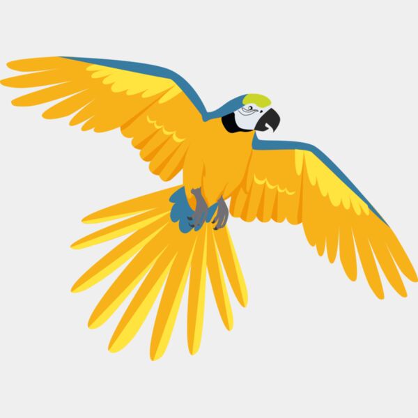 3425 Parrot Thumbnail