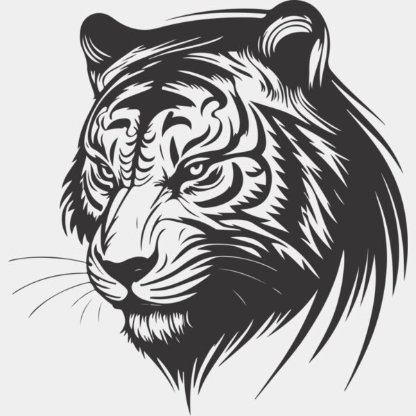 7656 Tiger Thumbnail