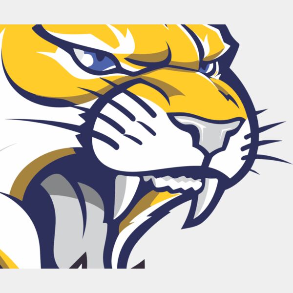 1254 Wildcat Thumbnail