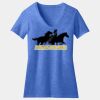 Women's Perfect Blend ® V Neck Tee Thumbnail