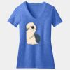 Women's Perfect Blend ® V Neck Tee Thumbnail