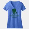 Women's Perfect Blend ® V Neck Tee Thumbnail