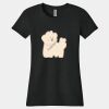Women's Tri Blend Tee Thumbnail
