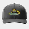 Laser Perf R Flex Snapback Thumbnail