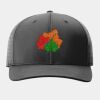 Laser Perf R Flex Snapback Thumbnail